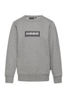 Napapijri Chamois Sweatshirt Grå