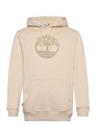 Timberland Kennebec River Tree Logo Hoodie Angora Beige