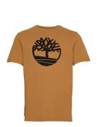 Timberland Tree Logo Short Sleeve Tee Brun