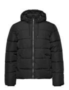 ONLY & SONS Onsmelvin Life Quilt Hood Jacket Otw Vd Svart