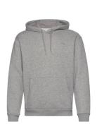 Hollister Hco. Guys Sweatshirts Grå