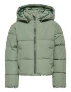 Kmgdolly Short Puffer Jacket Otw Fodrad Jacka Green Kids Only