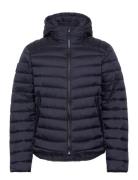 Hooded Fuji Sport Padded Jkt Tunn Jacka Navy Superdry