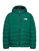 B Reversible Perrito Hooded Jacket Fodrad Jacka Green The North Face