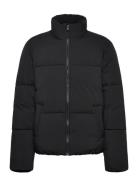 Puffer Jacket Fodrad Jacka Black Tom Tailor