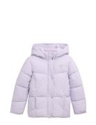 Tom Tailor Puffer Jacket Lila