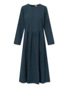 Sabine Dress - Cotton Knälång Klänning Navy STUDIO FEDER