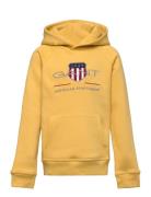 GANT Archive Shield Hoodie Gul