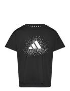 Adidas Sportswear Jg Gl Tee Svart