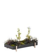 Design House Stockholm Botanic Tray Svart