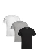 Tommy Hilfiger Stretch Cn Tee Ss 3Pack Multi/patterned