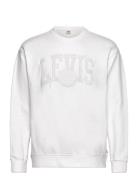 LEVI´S Men Relaxd Graphic Crew Tonal Athl Vit