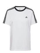 Adidas Sportswear Essentials 3-Stripes T-Shirt Vit