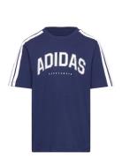 Adidas Sportswear J C Colleg Tee Marinblå