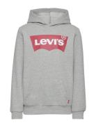 Levi's Levi's® Batwing Screenprint Hooded Pullover Grå