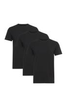 Lyle & Scott Basic 3 Pack T-Shirt Svart