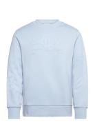 GANT Reg Tonal Shield C-Neck Sweat Blå