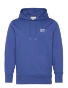 GANT Small Graphic Sweat Hoodie Blå