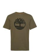 Timberland Tree Logo Short Sleeve Tee Grön