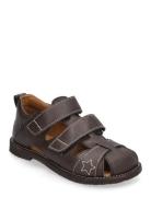 ANGULUS Sandals - Flat - Closed Toe Brun