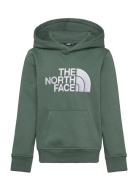 The North Face B Drew Peak P/O Hoodie Grön