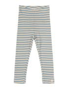 Petit Piao Legging Modal Striped Blå