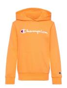 Champion Hooded Sweatshirt Orange