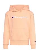 Champion Hooded Sweatshirt Rosa