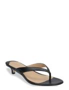 Lauren Ralph Lauren Francesca Calfskin Sandal Svart