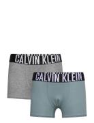 Calvin Klein 2Pk Trunk Grå