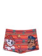 Paw Patrol Swimsuit Multi/patterned