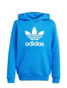 Adidas Originals Trefoil Hoodie Blå